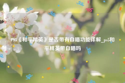 PS5《和平精英》是否带有自瞄功能详解_ps5和平精英带自瞄吗