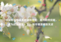 《OE和平精英实战辅助攻略：提升游戏技能，成为战场精英！》_oe和平精英辅助实战