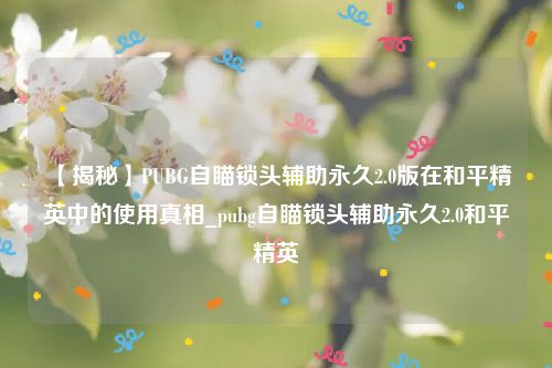 【揭秘】PUBG自瞄锁头辅助永久2.0版在和平精英中的使用真相_pubg自瞄锁头辅助永久2.0和平精英