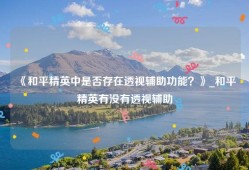 《和平精英中是否存在透视辅助功能？》_和平精英有没有透视辅助