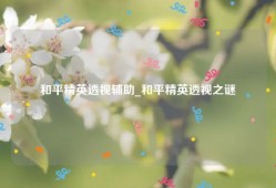 和平精英透视辅助_和平精英透视之谜