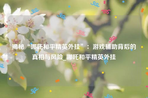 揭秘“哪吒和平精英外挂”：游戏辅助背后的真相与风险_哪吒和平精英外挂