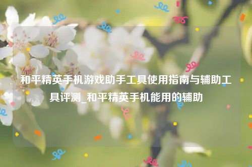 和平精英手机游戏助手工具使用指南与辅助工具评测_和平精英手机能用的辅助