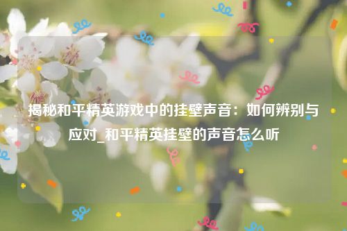 揭秘和平精英游戏中的挂壁声音：如何辨别与应对_和平精英挂壁的声音怎么听
