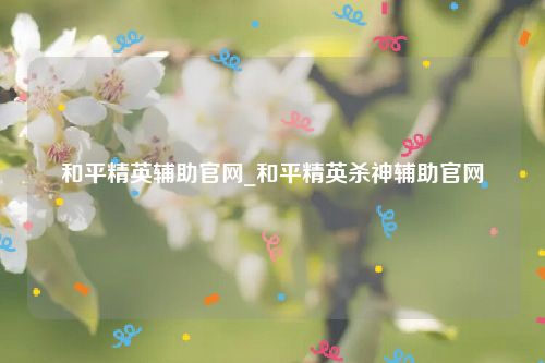 和平精英辅助官网_和平精英杀神辅助官网