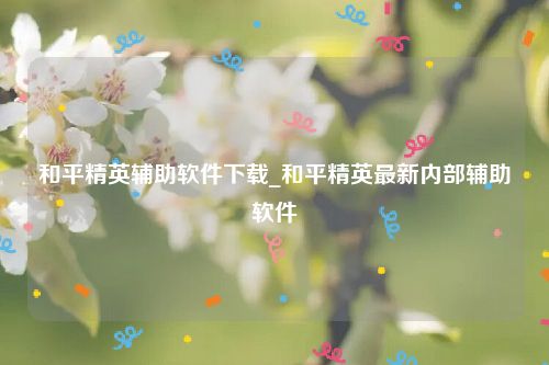 和平精英辅助软件下载_和平精英最新内部辅助软件