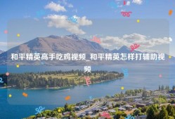 和平精英高手吃鸡视频_和平精英怎样打辅助视频