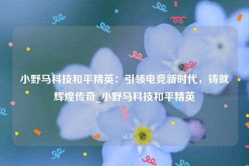 小野马科技和平精英：引领电竞新时代，铸就辉煌传奇_小野马科技和平精英