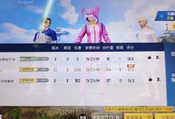 和平精英辅助【神秘人容器直装】磁吸自瞄-人物加速-绘制-骨骼-信息-射线-血量-物质-距离-雷达