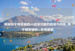 揭秘和平精英辅助iOS透视功能的真相与风险_和平精英辅助ios透视最新
