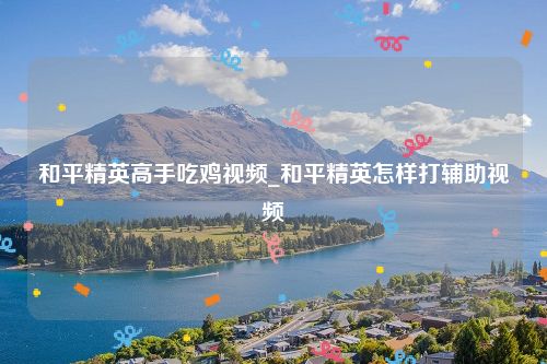 和平精英高手吃鸡视频_和平精英怎样打辅助视频