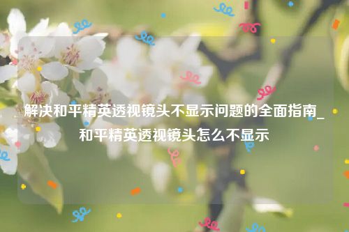 解决和平精英透视镜头不显示问题的全面指南_和平精英透视镜头怎么不显示
