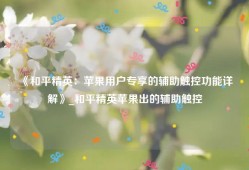 《和平精英：苹果用户专享的辅助触控功能详解》_和平精英苹果出的辅助触控