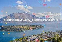和平精英辅助外挂购买_和平精英稳定辅助外挂