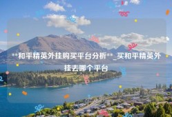 **和平精英外挂购买平台分析**_买和平精英外挂去哪个平台
