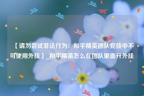 【请勿尝试非法行为：和平精英团队竞技中不可使用外挂】_和平精英怎么在团队里面开外挂