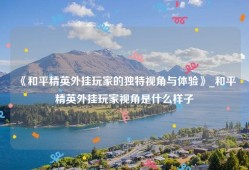 《和平精英外挂玩家的独特视角与体验》_和平精英外挂玩家视角是什么样子