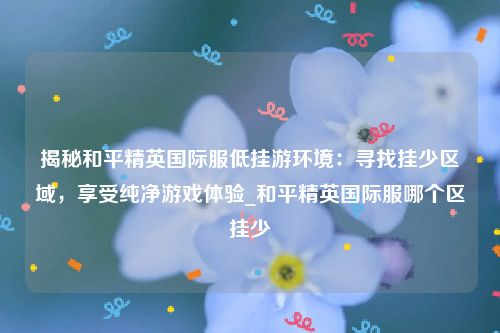 揭秘和平精英国际服低挂游环境：寻找挂少区域，享受纯净游戏体验_和平精英国际服哪个区挂少