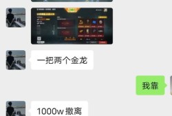 和平精英外挂【骷髅头容器直装辅助】透视自瞄 人物绘制 准星聚点 显示距离 掩体漏击