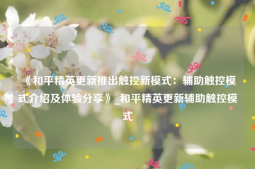 《和平精英更新推出触控新模式：辅助触控模式介绍及体验分享》_和平精英更新辅助触控模式
