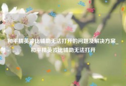 和平精英波比辅助无法打开的问题及解决方案_和平精英波比辅助无法打开