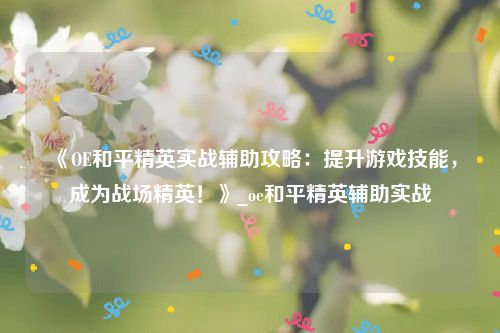 《OE和平精英实战辅助攻略：提升游戏技能，成为战场精英！》_oe和平精英辅助实战