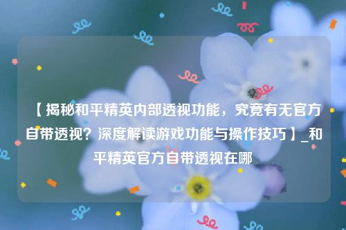 【揭秘和平精英内部透视功能，究竟有无官方自带透视？深度解读游戏功能与操作技巧】_和平精英官方自带透视在哪