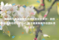 揭秘和平精英制裁外挂团队竞技包贝尔：游戏安全背后的守护行动_和平精英制裁外挂团队竞技包贝尔
