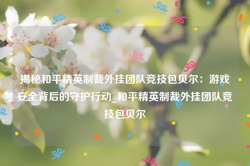揭秘和平精英制裁外挂团队竞技包贝尔：游戏安全背后的守护行动_和平精英制裁外挂团队竞技包贝尔