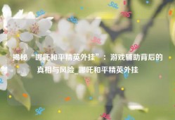 揭秘“哪吒和平精英外挂”：游戏辅助背后的真相与风险_哪吒和平精英外挂