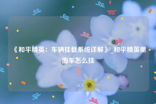 《和平精英：车辆挂载系统详解》_和平精英里面车怎么挂