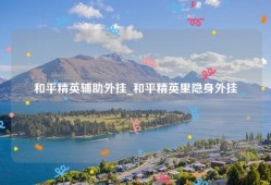 和平精英辅助外挂_和平精英里隐身外挂
