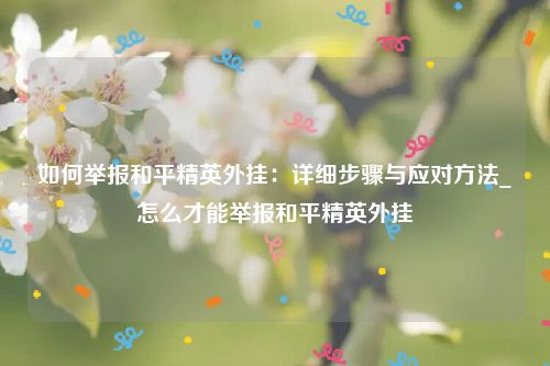 如何举报和平精英外挂：详细步骤与应对方法_怎么才能举报和平精英外挂