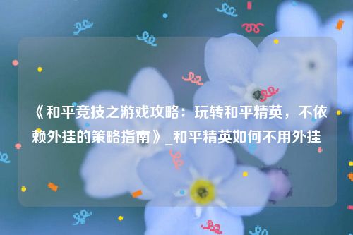 《和平竞技之游戏攻略：玩转和平精英，不依赖外挂的策略指南》_和平精英如何不用外挂