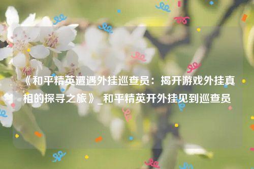 《和平精英遭遇外挂巡查员：揭开游戏外挂真相的探寻之旅》_和平精英开外挂见到巡查员