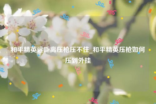和平精英远距离压枪压不住_和平精英压枪如何压到外挂