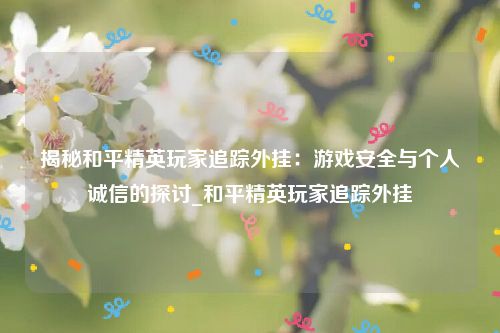 揭秘和平精英玩家追踪外挂：游戏安全与个人诚信的探讨_和平精英玩家追踪外挂