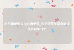 和平精英锁头加自瞄免费_和平精英免费自瞄锁头软件叫什么